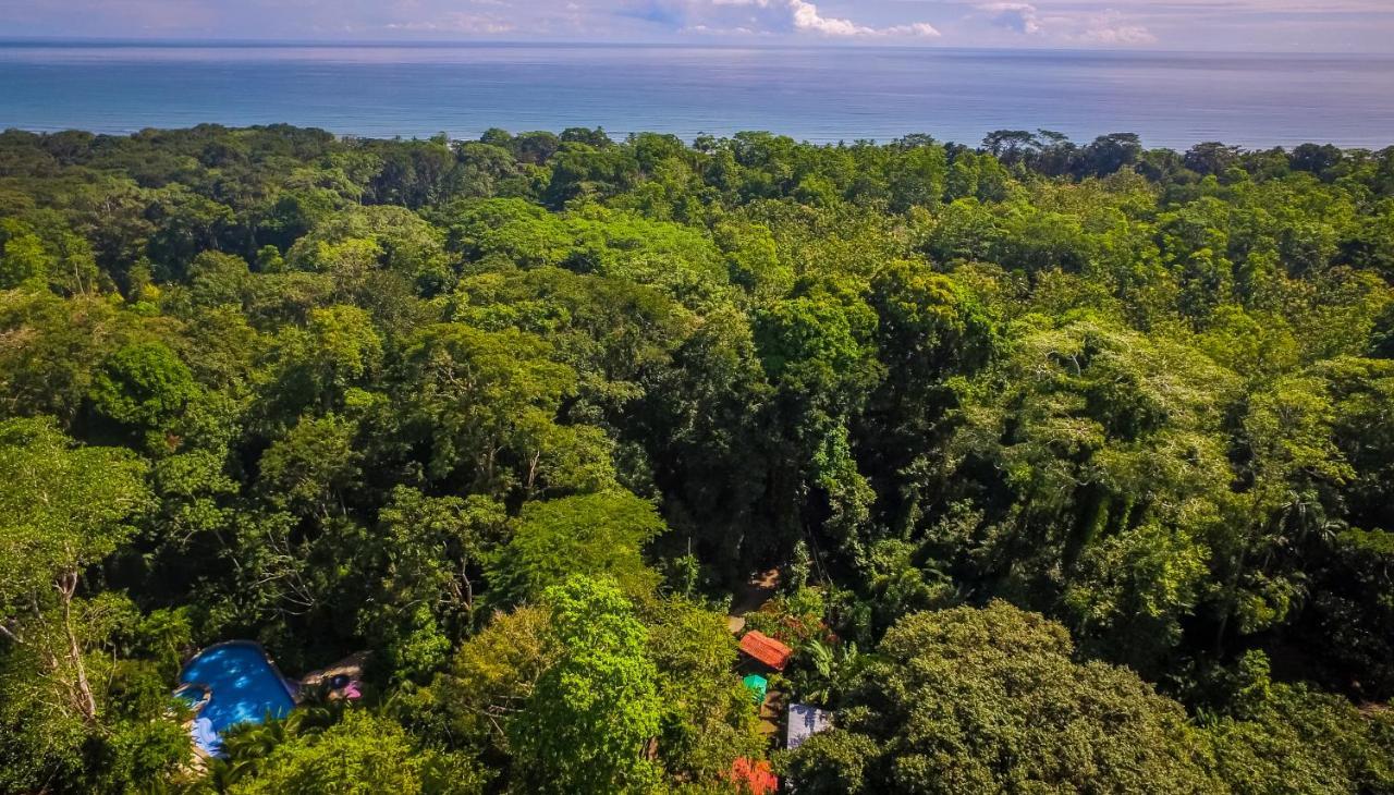 The Goddess Garden Eco-Resort Cahuita Exterior foto