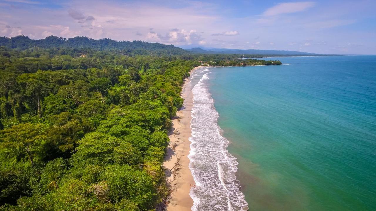 The Goddess Garden Eco-Resort Cahuita Exterior foto