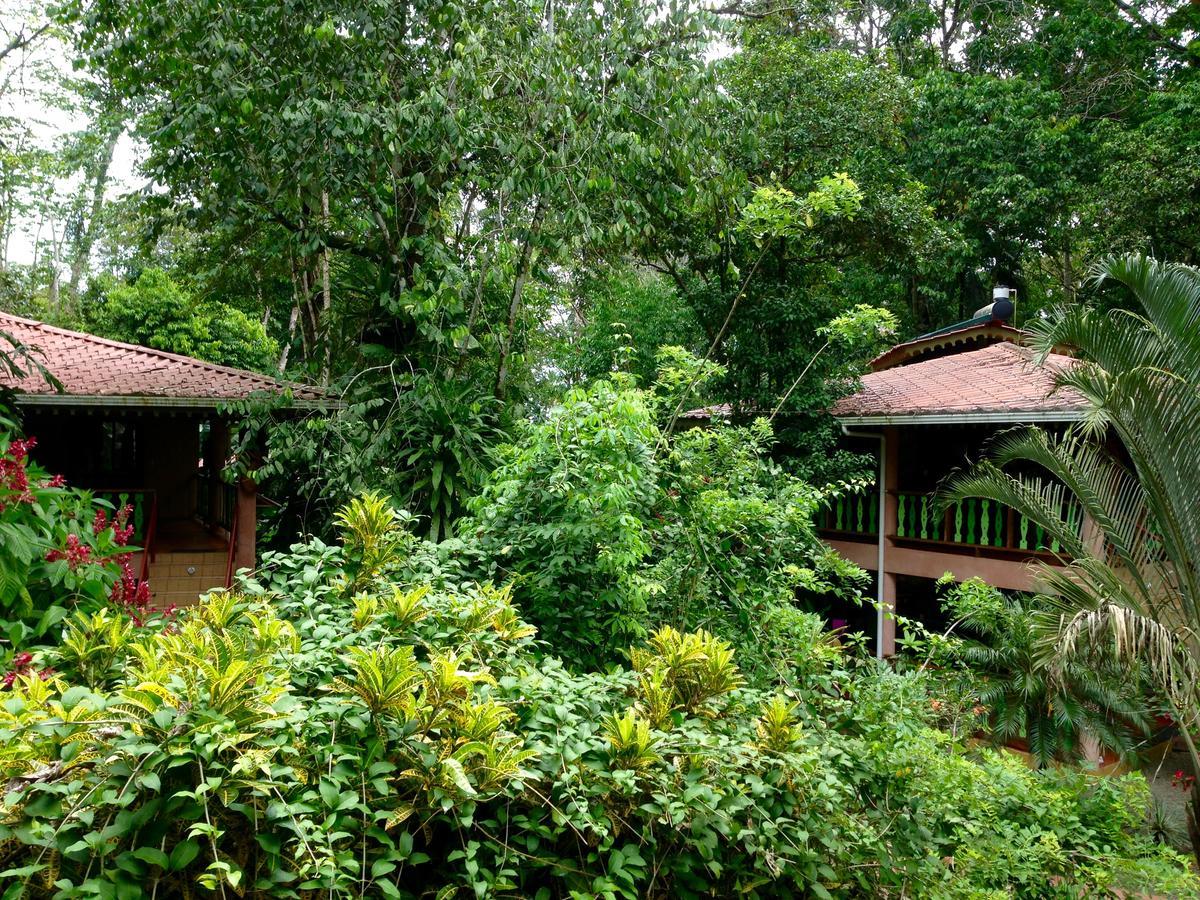 The Goddess Garden Eco-Resort Cahuita Exterior foto