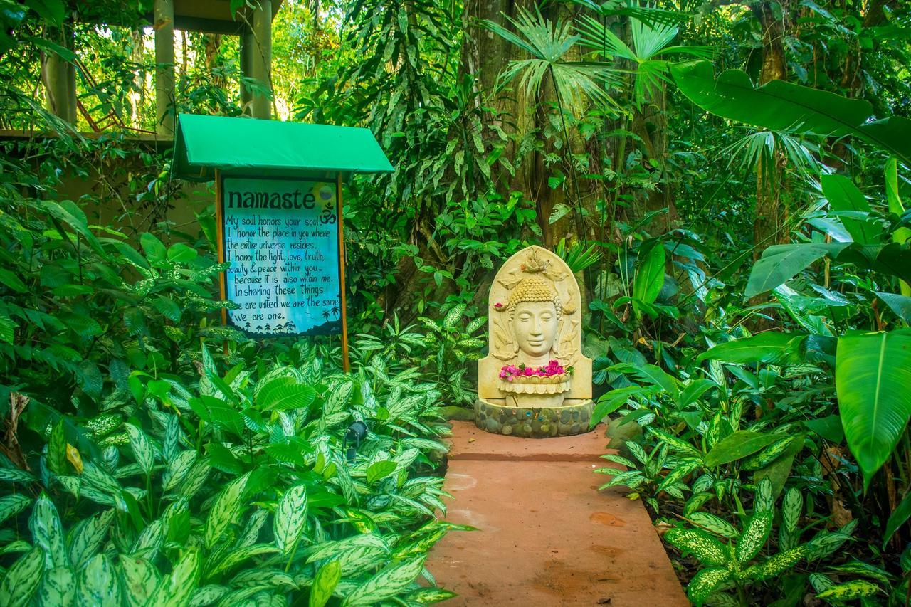 The Goddess Garden Eco-Resort Cahuita Exterior foto