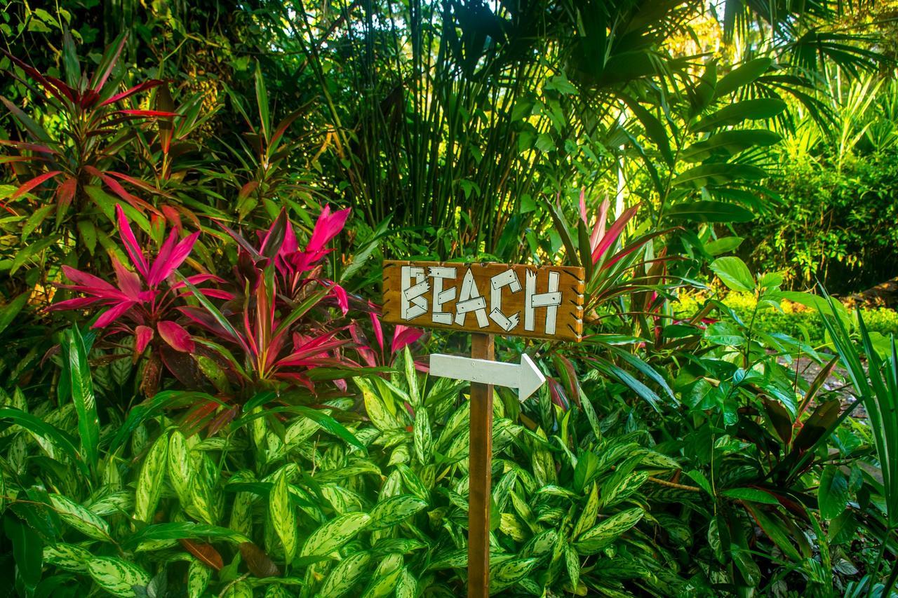 The Goddess Garden Eco-Resort Cahuita Exterior foto